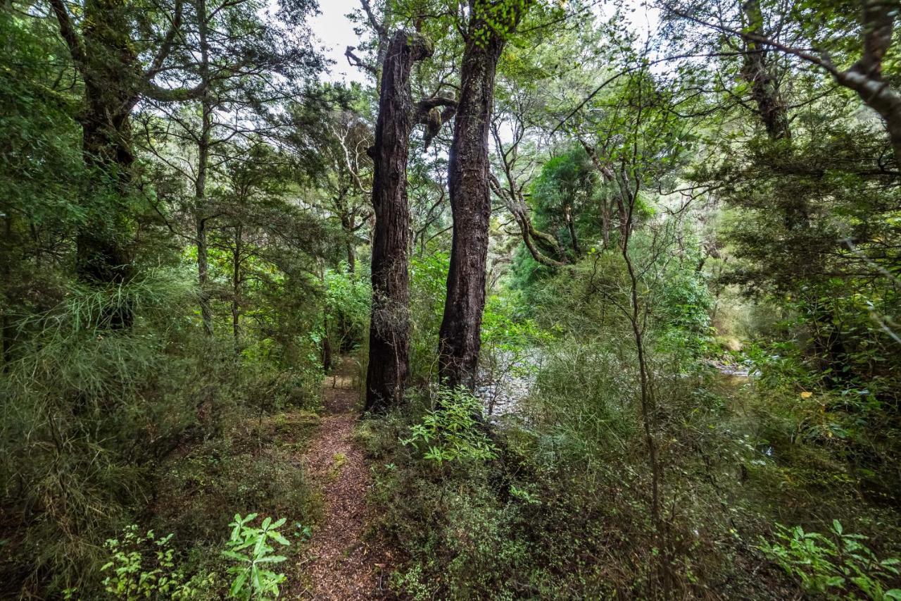 The Glade Villa Pahautea Dış mekan fotoğraf